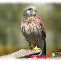 picsart_07-14-104918.jpg